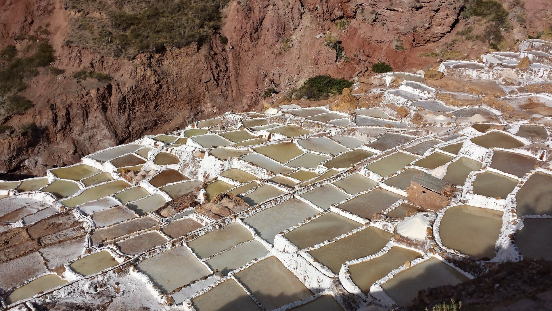 Salinas de Mara dans la vallée sacrée près de Cuzco